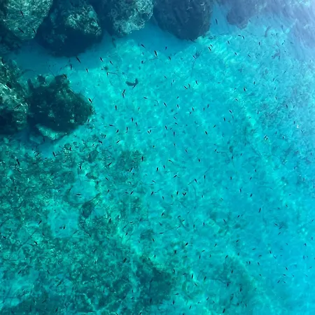 Loza Blue, Island Apartment Premuda