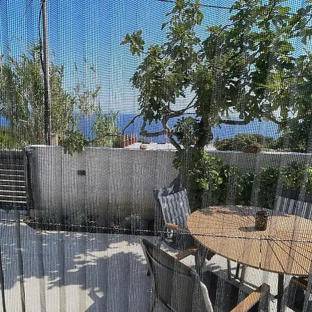 Loza Blue, Island Premuda