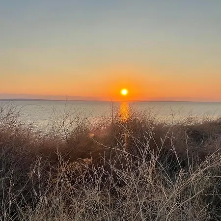 Loza Blue, Island * Premuda