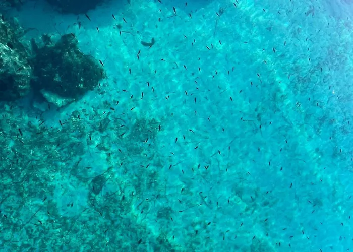 Loza Blue, Island Appartement Premuda