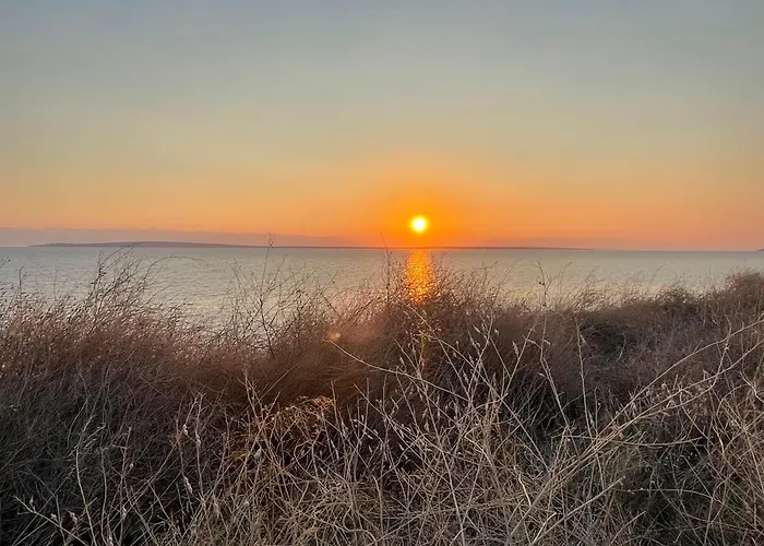 Loza Blue, Island * Premuda